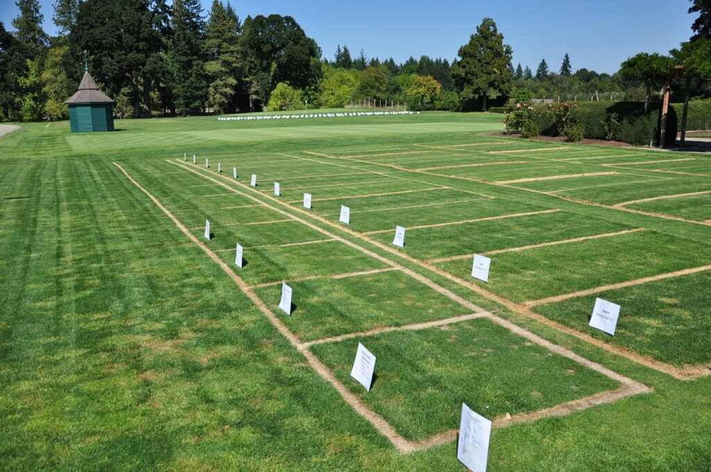 Earthsong by Manyata