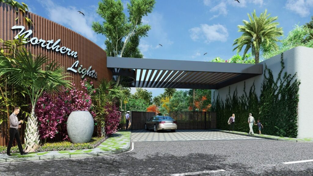 Taapasi Northern Lights